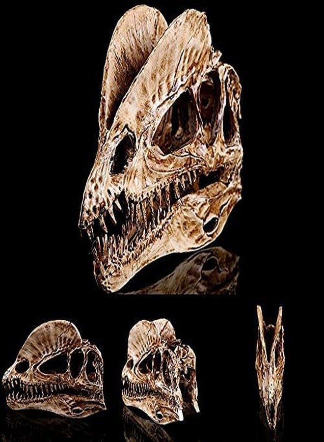 Koolouispoper T-Rex Skull Dinosaur Resin Craft Gifts Home Decor Replica Fish Tank Statue Tyrannosaur Skull Skeleton Aquarium Decoration (A) - Image 3
